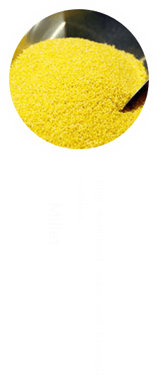 Millet